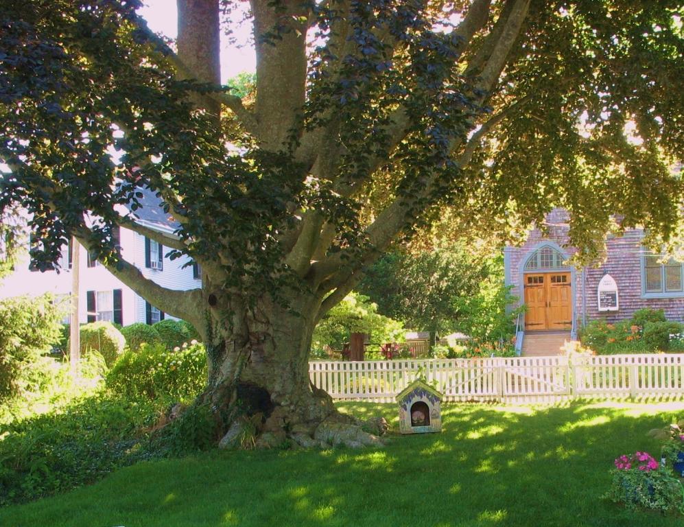 The 1720 House Bed & Breakfast Vineyard Haven Exterior foto